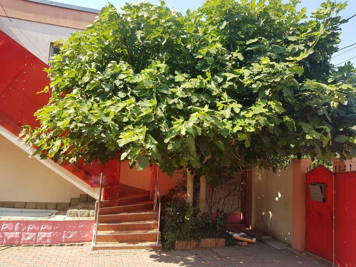Pensiunea Victoria Mangalia Esterno foto